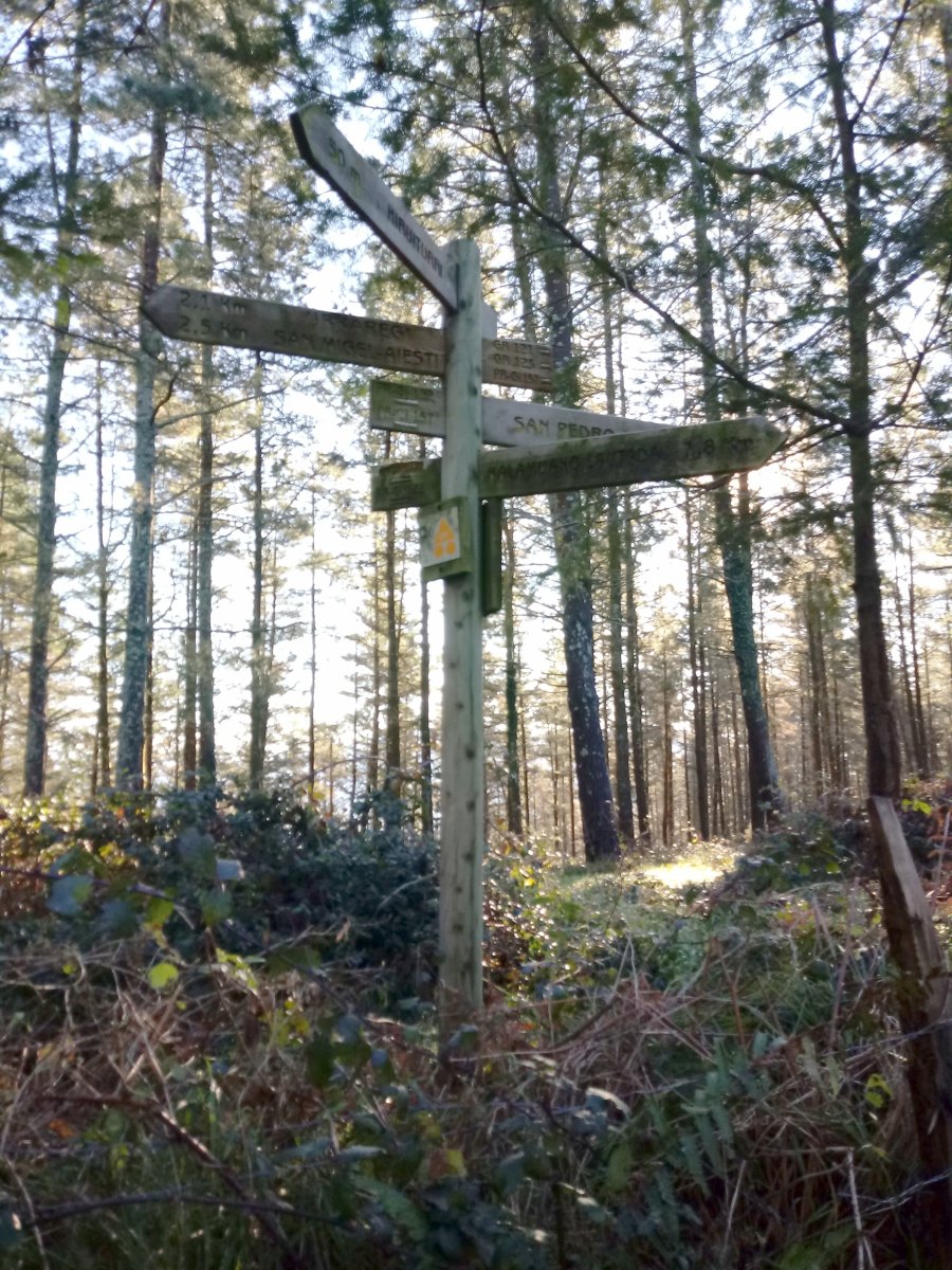 Kalamuara bidean, seinalea