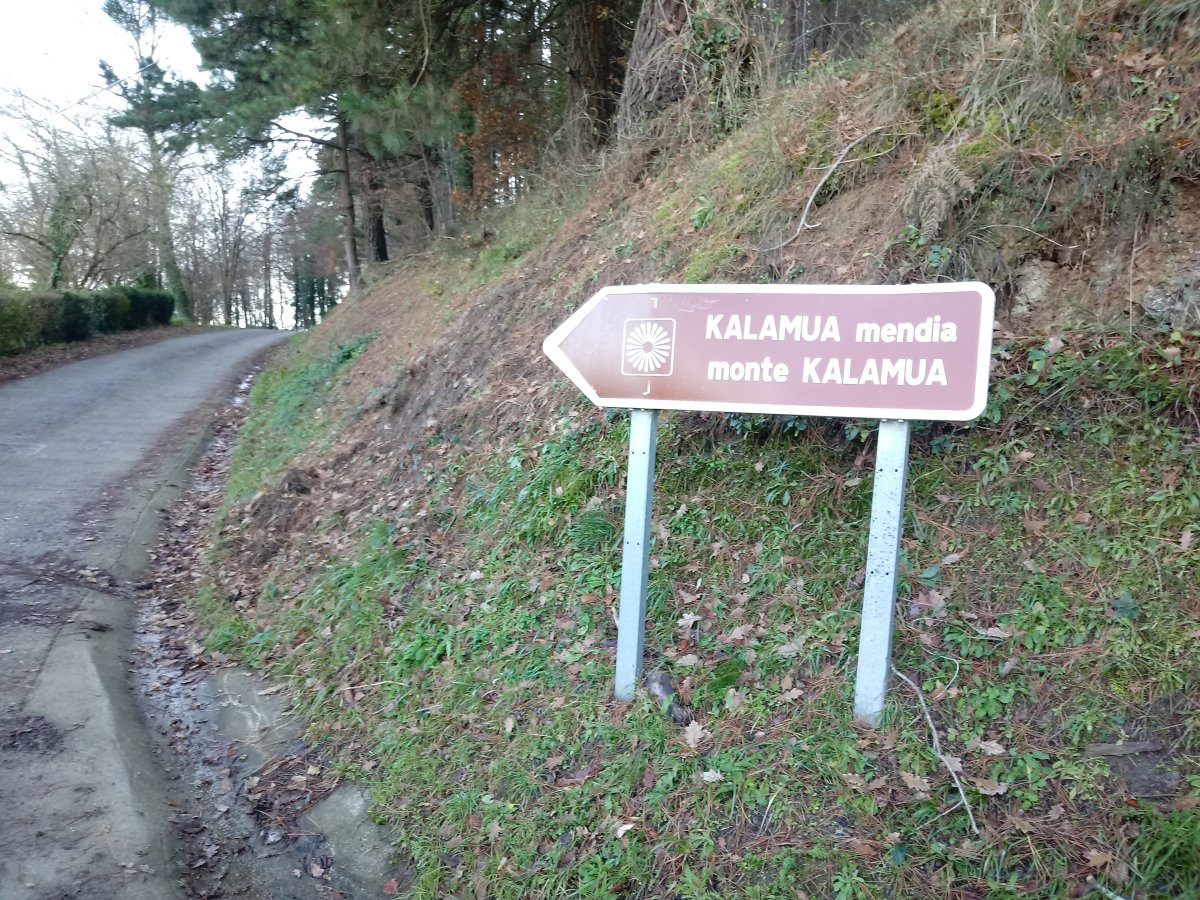 Kalamuara bidean, seinalea 2