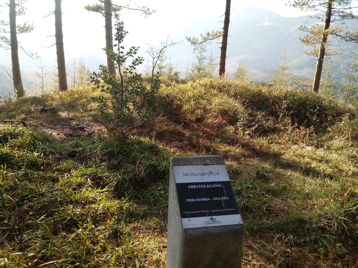 Arratolagaña trikuharria (2017)