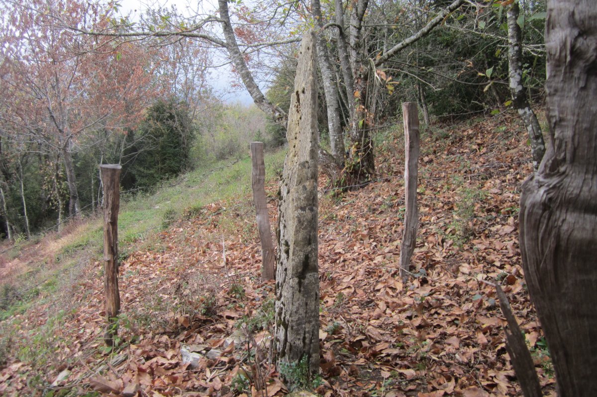 Monolito Zidrain  (Octubre 2017)