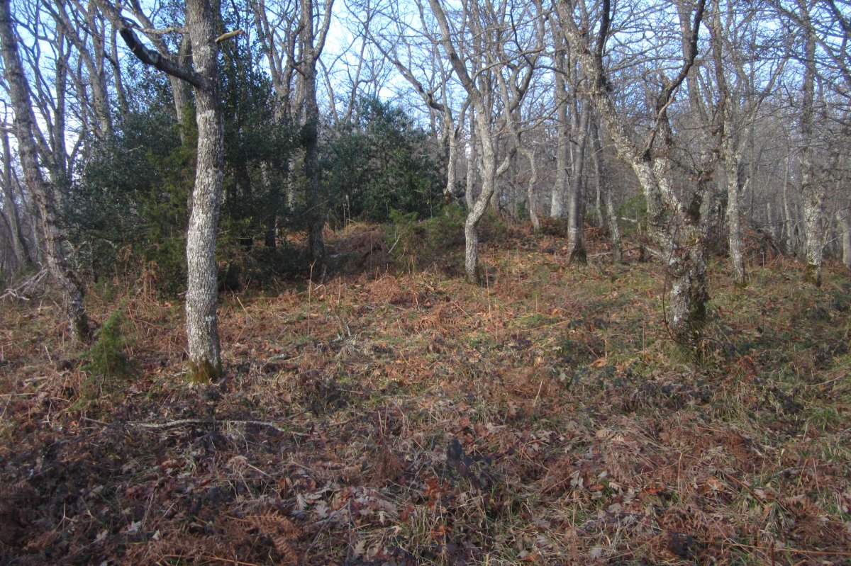 Dólmen Gorosti (Beuntza) Enero 2018