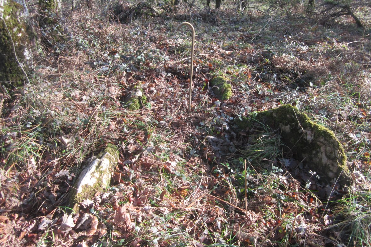 Dólmen Gorosti (Beuntza) Enero 2018