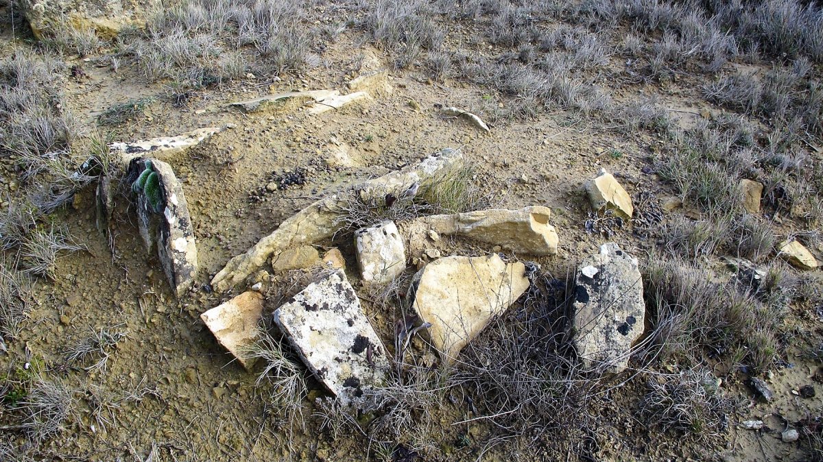 Mondelaparte zista, Mendigorria