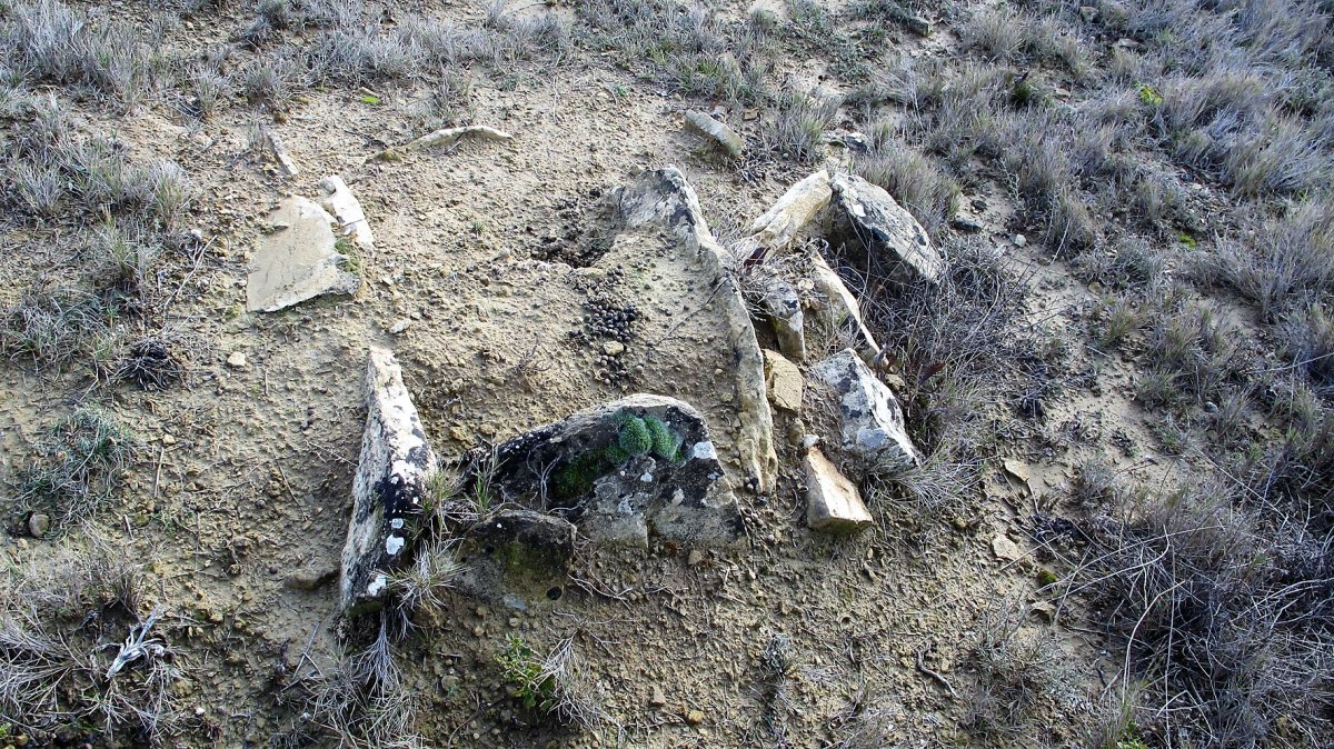 Mondelaparte zista, Mendigorria