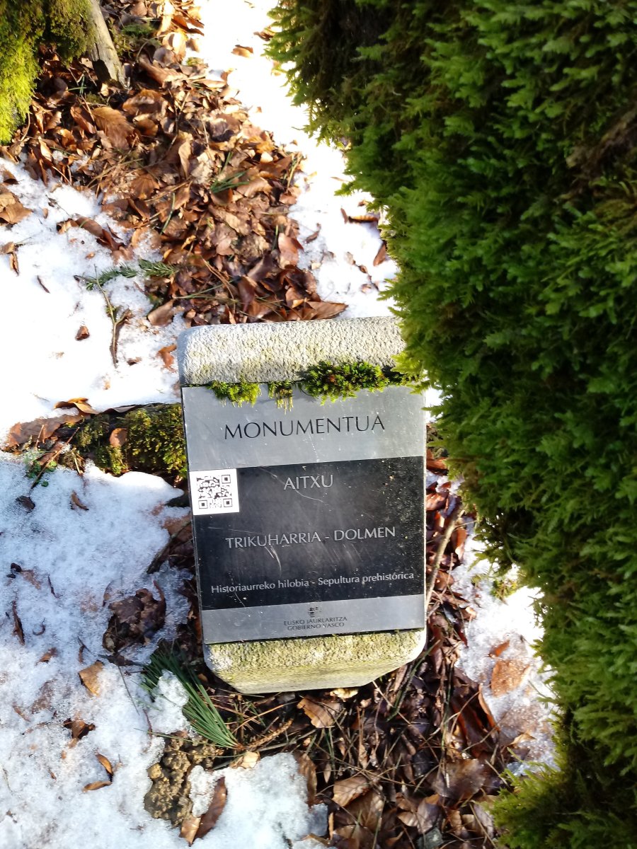 Aitxu trikuharria (2018)