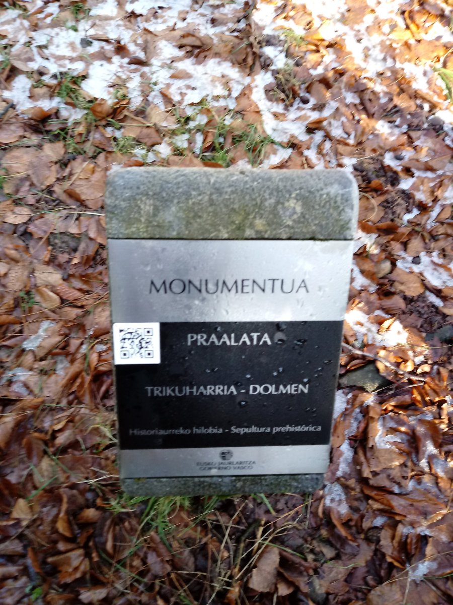 Praalata trikuharria (2018)