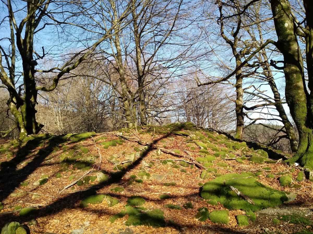 Balankaleku Iparra trikuharria 3