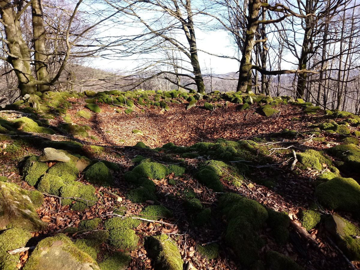 Balankaleku Iparra trikuharria 2