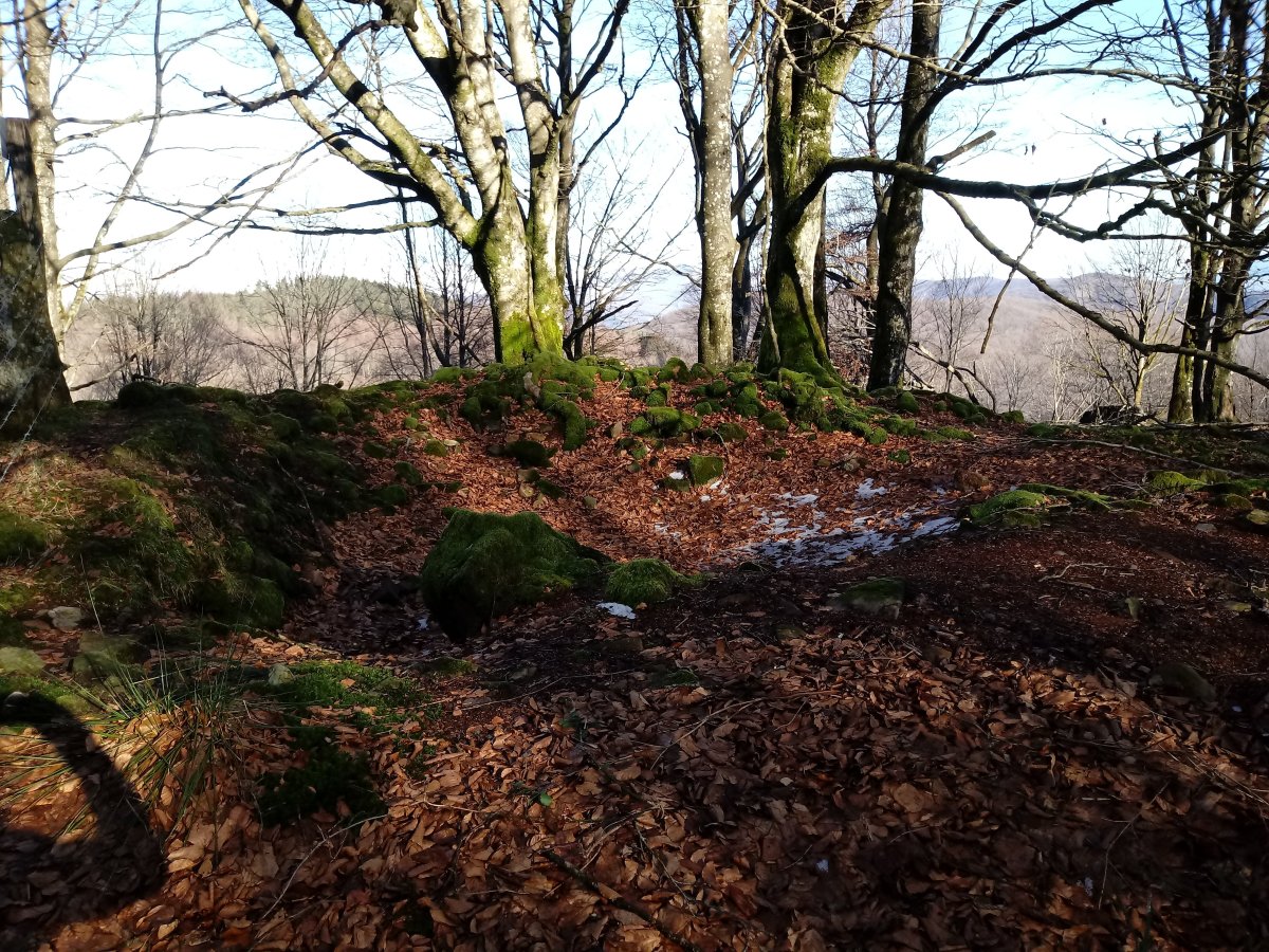 Balankaleku Hegoa trikuharria 2