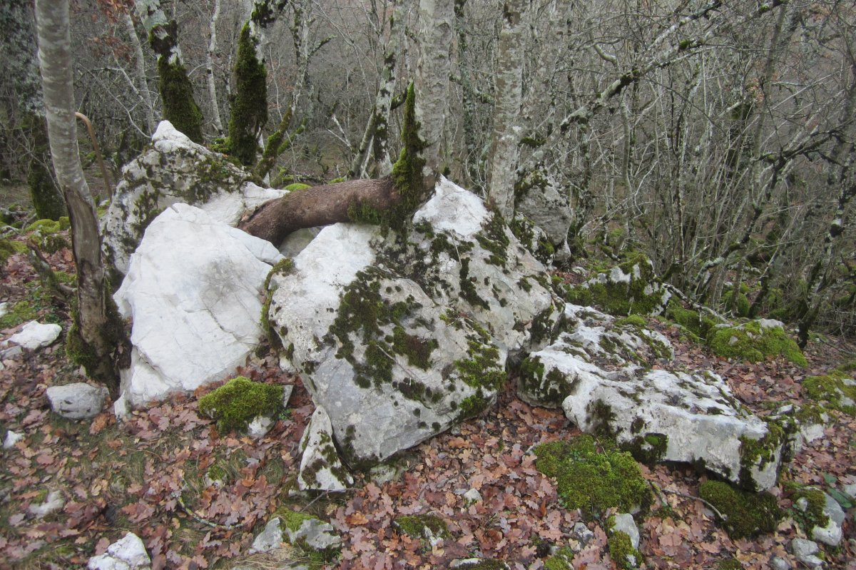 Dólmen Egillor  (Enero 2018)