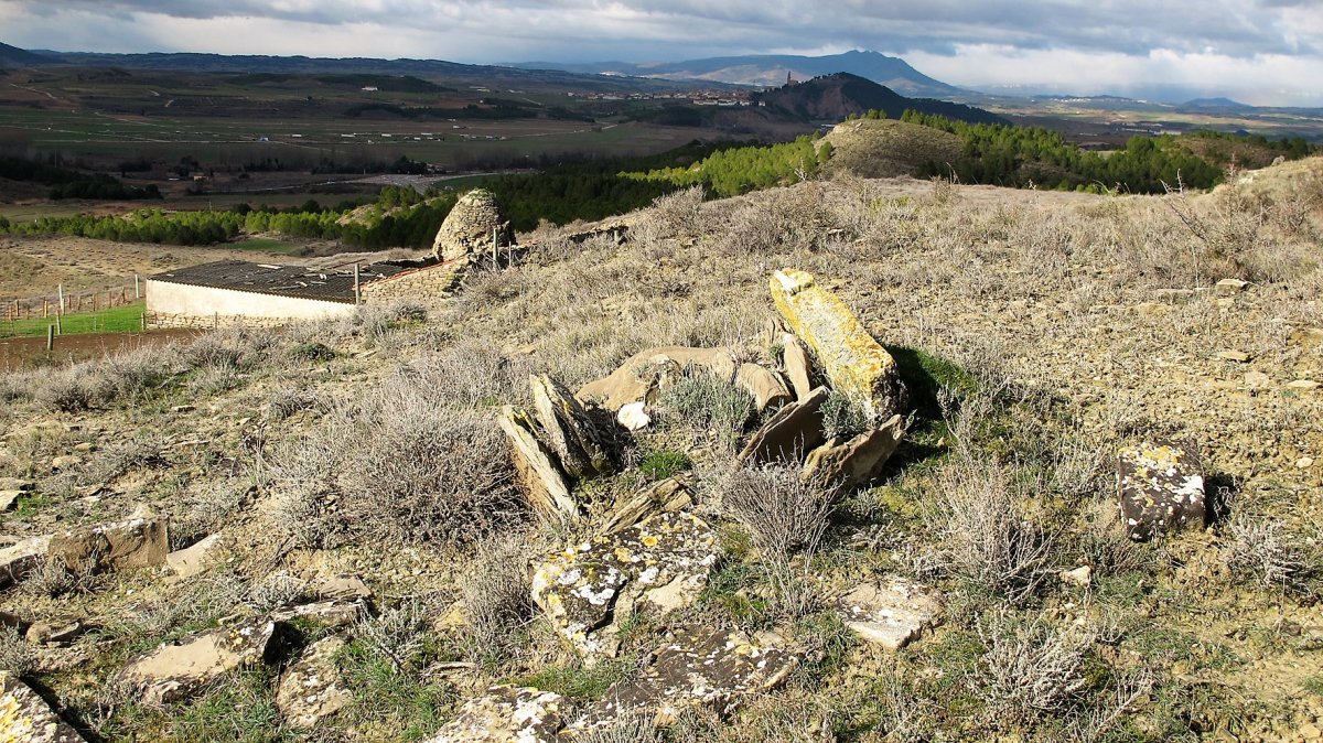 Las Cabras 3 zista, Larraga