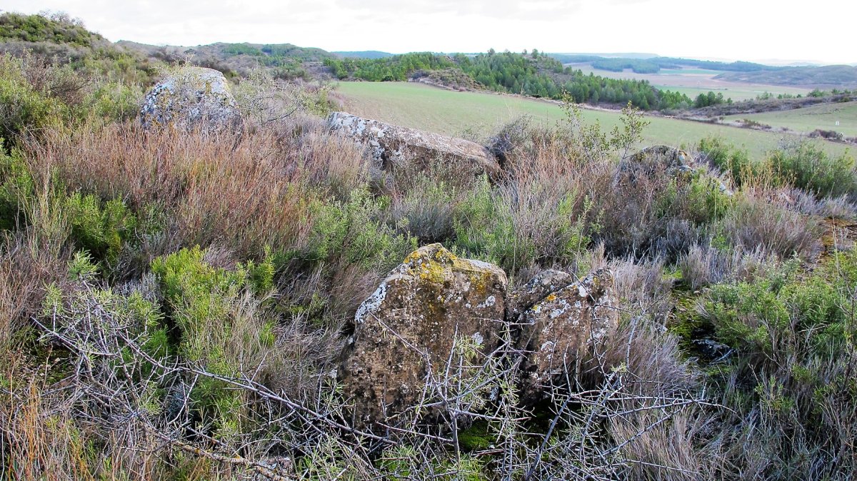 Jugondo 5 trikuharria, Artaxoa