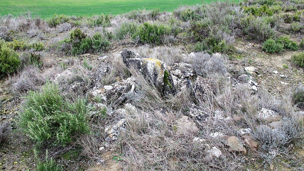 Las Cabras 4 zista, Larraga