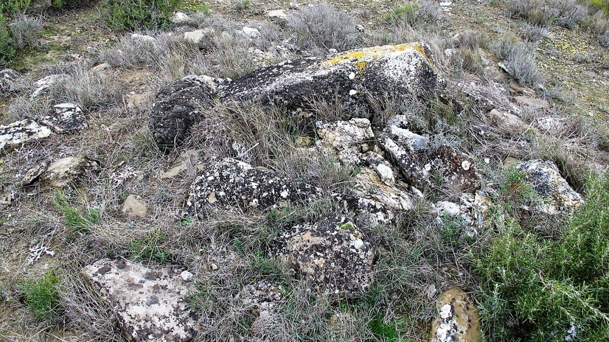 Las Cabras 4 zista, Larraga