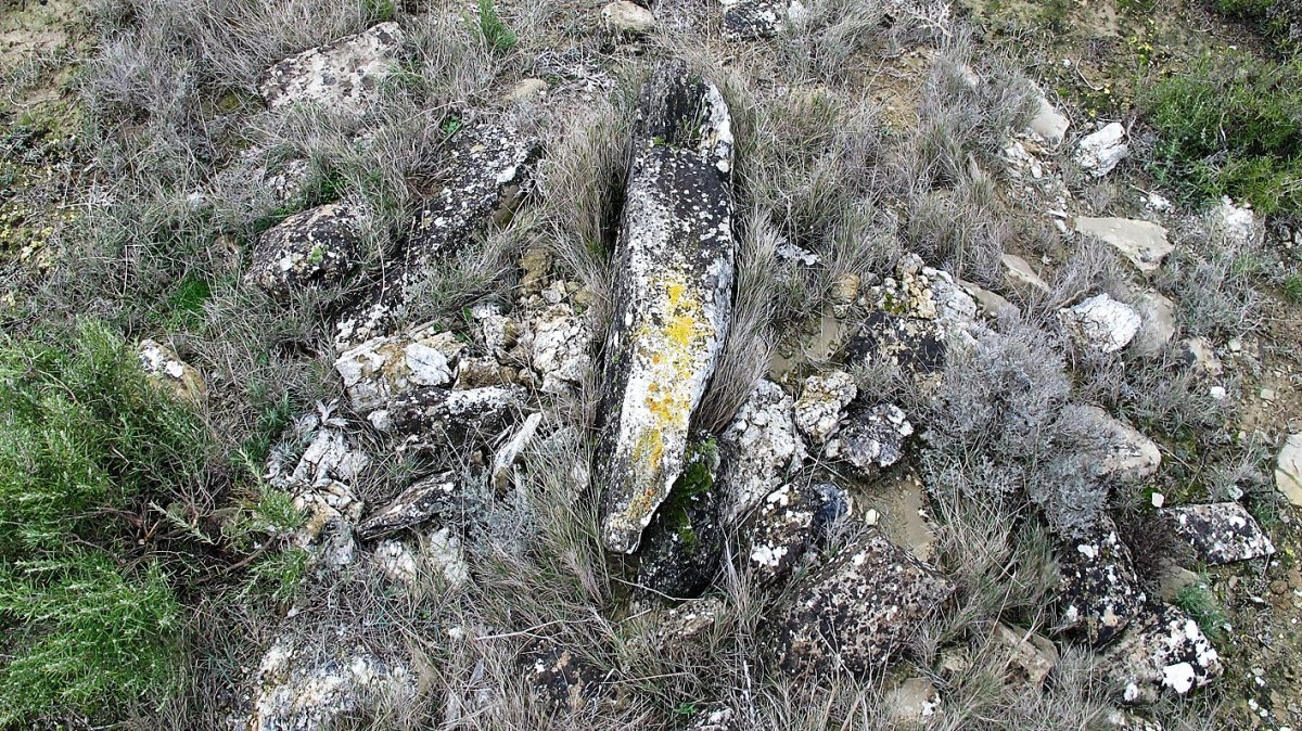 Las Cabras 4 zista, Larraga