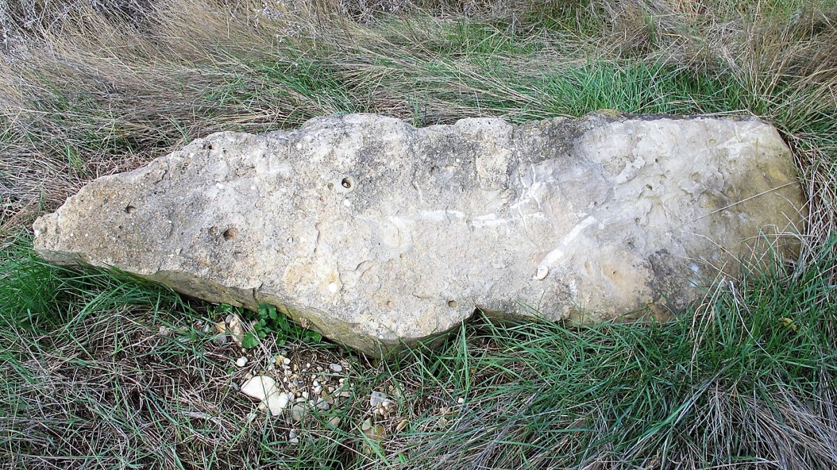 Biorrada zutarria, Larraga