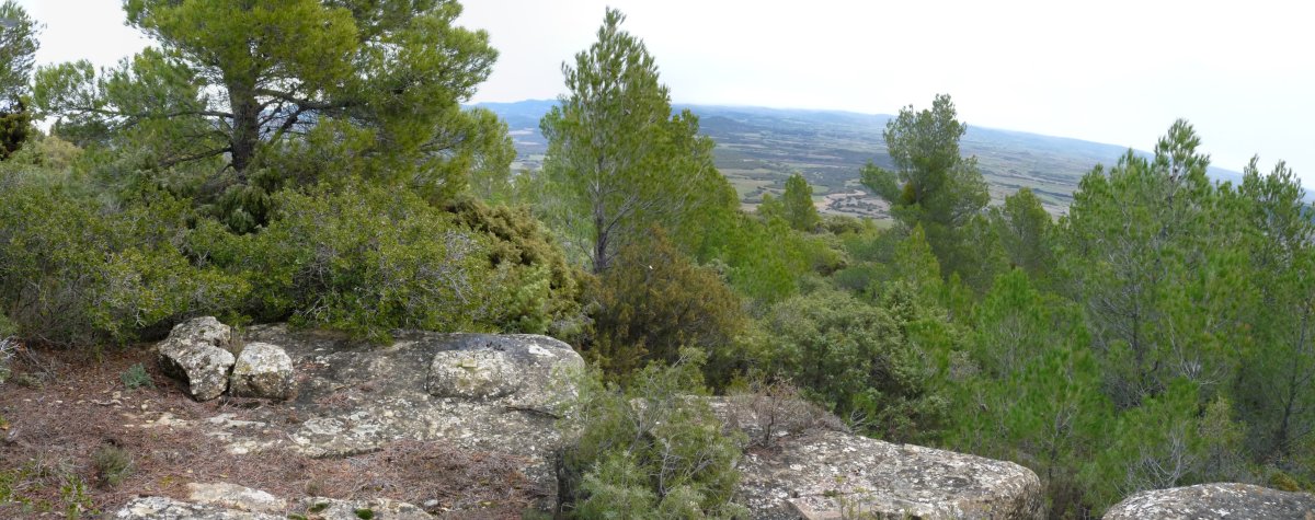 Tako geografikoa gailurrean