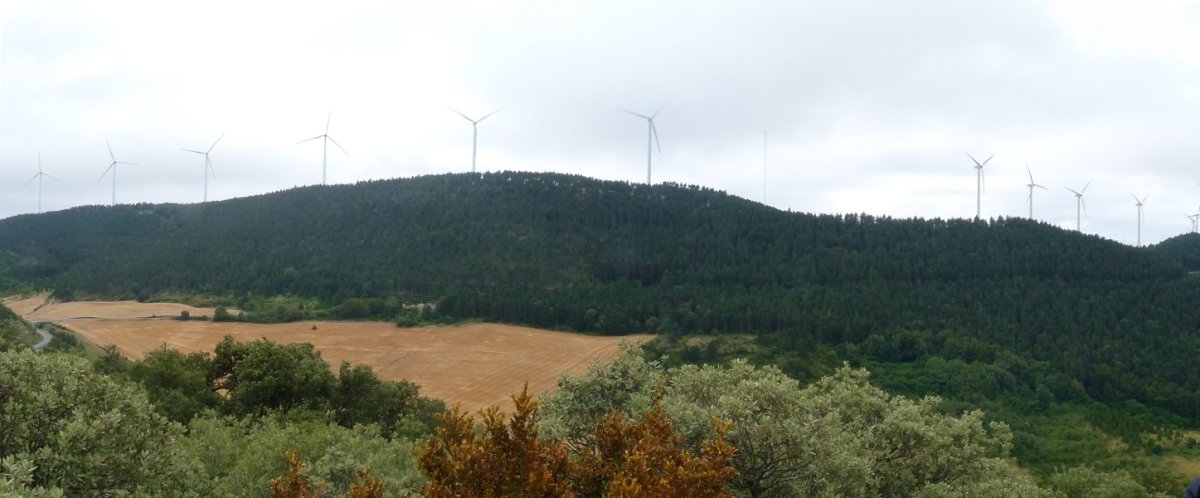 Las Llanasko bizkar oihantsua, iparraldetik