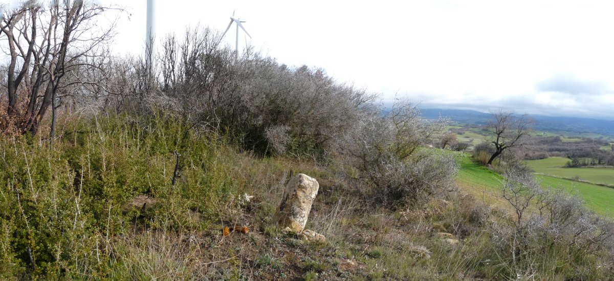 Artebeltzko gailurra