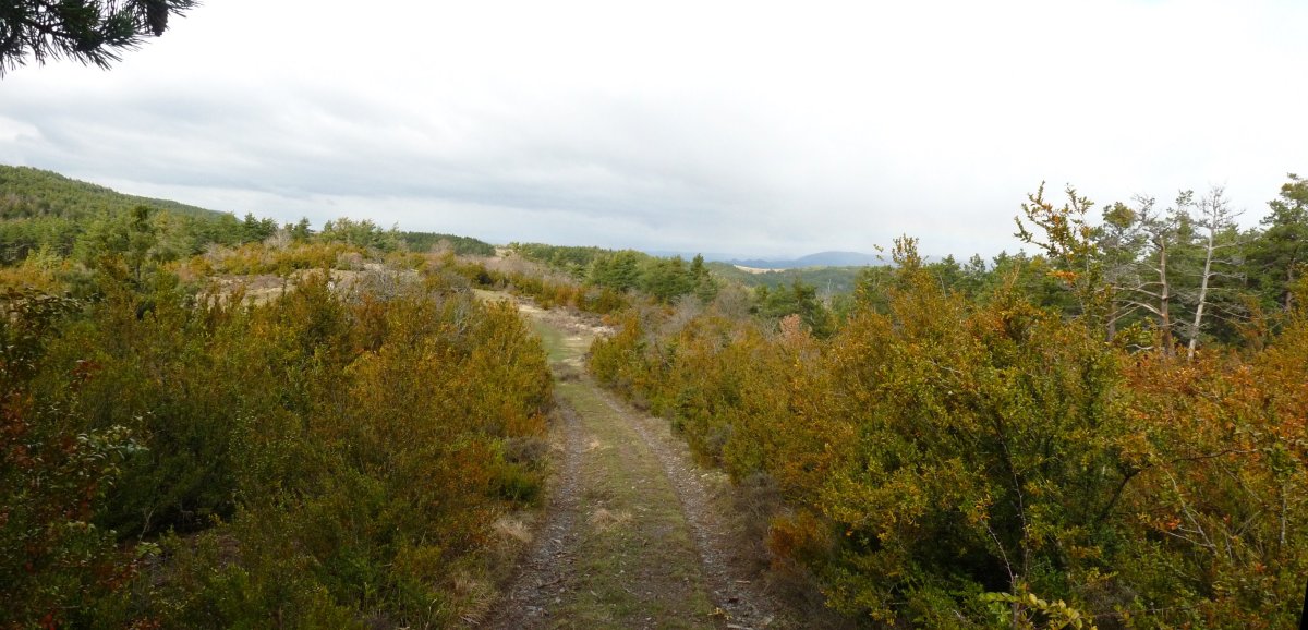 Coronas mendateko bidea