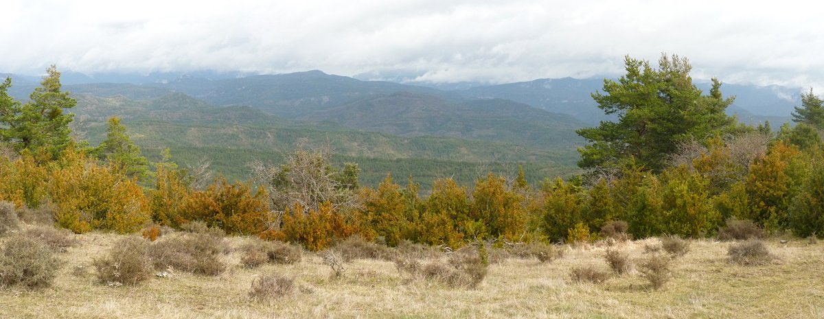 Bidankoze inguruko mendiak 