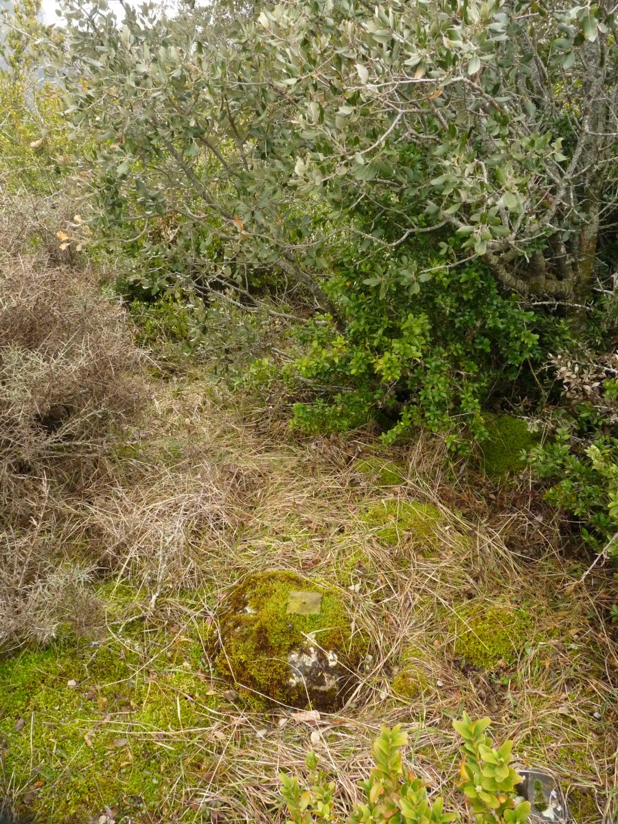 Laugarren mailako seinalea gailurrean