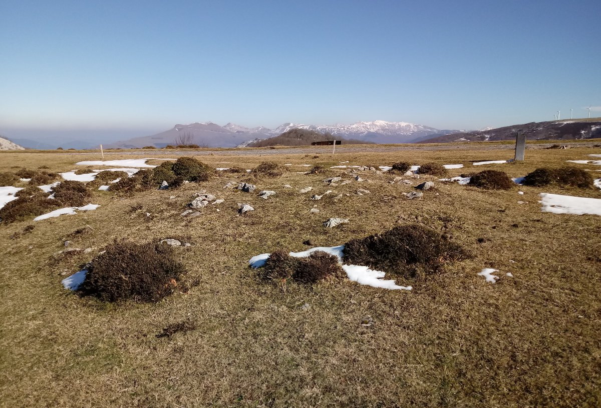 Degurixa I tumuloa 2