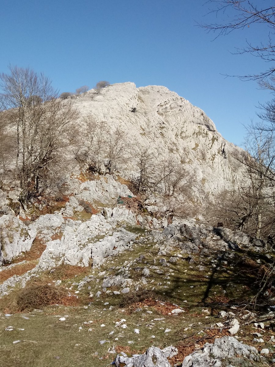 Andarto, hegoaldetik ikusita