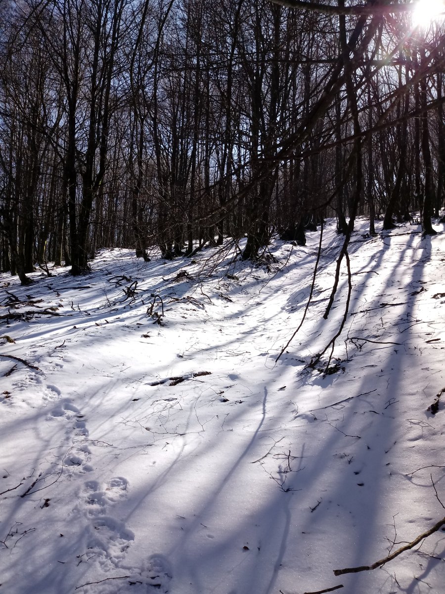 Gazteluko Aitza, Aumategi bidean iparreko laiotzean