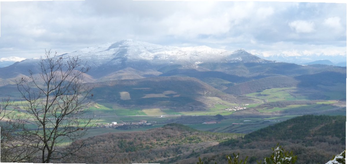 Ibargoitiko paisaiak bidetik