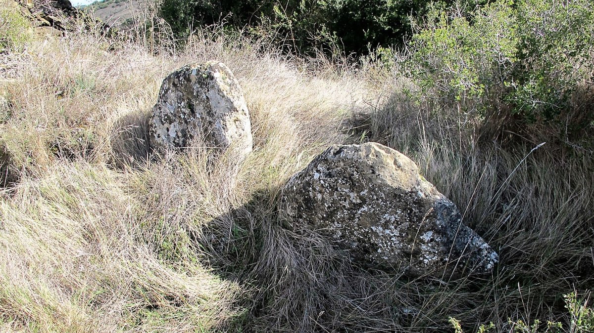 San Bartolome trikuharria, Artaxoa