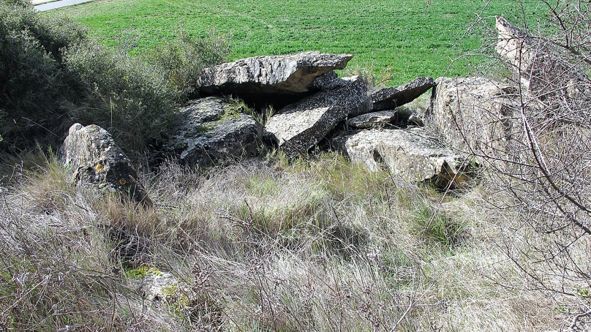 San Bartolome trikuharria, Artaxoa