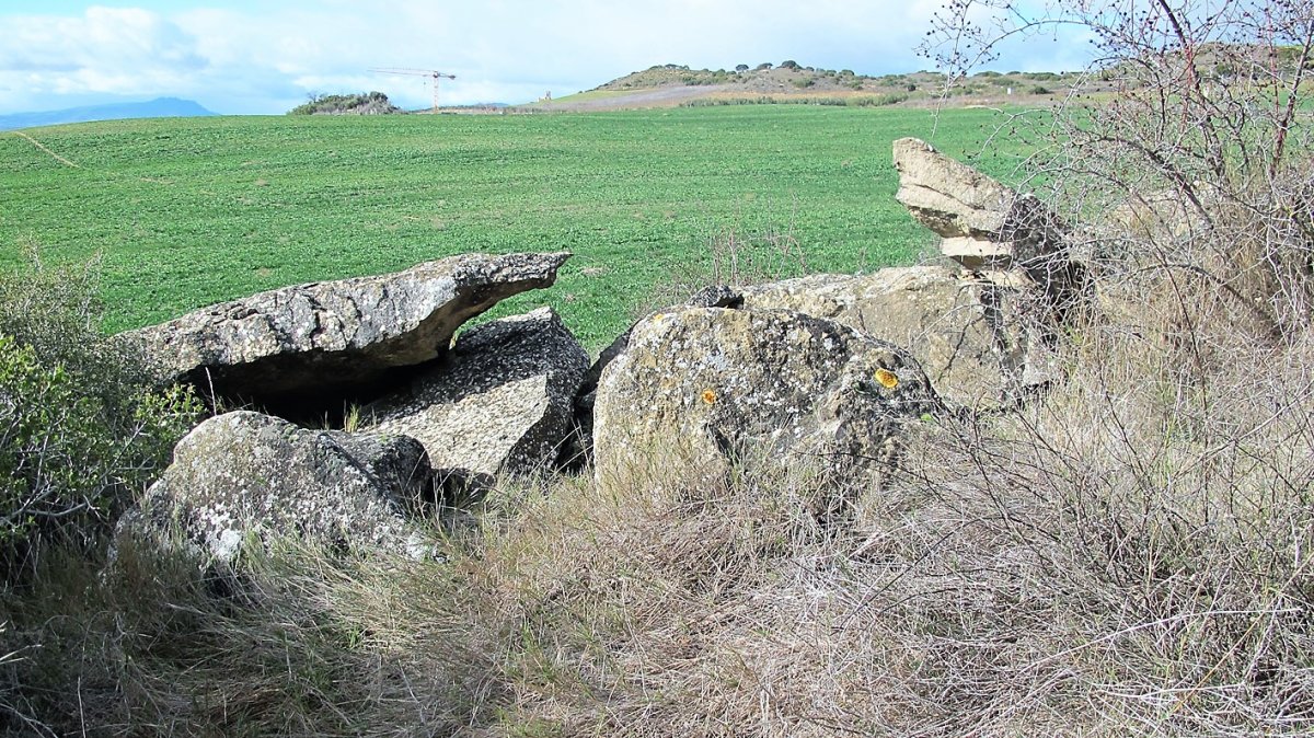 San Bartolome trikuharria, Artaxoa