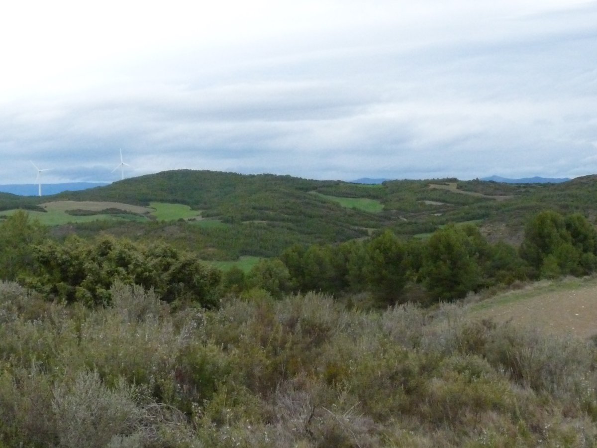 Artaxoako Mugako gaina