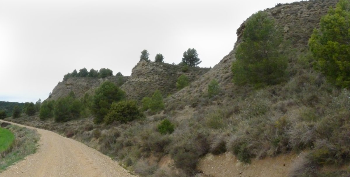 Pista Punputiaingo malkarren azpian