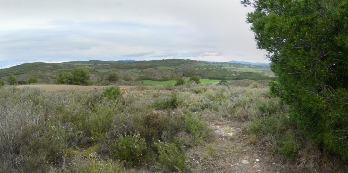 Punputiaingo gailurra, 4. mailako seinale geodesikoarekin