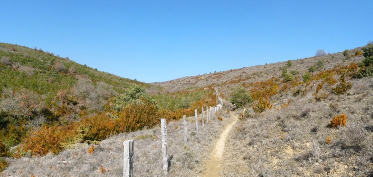 Paso de la Magdalena 