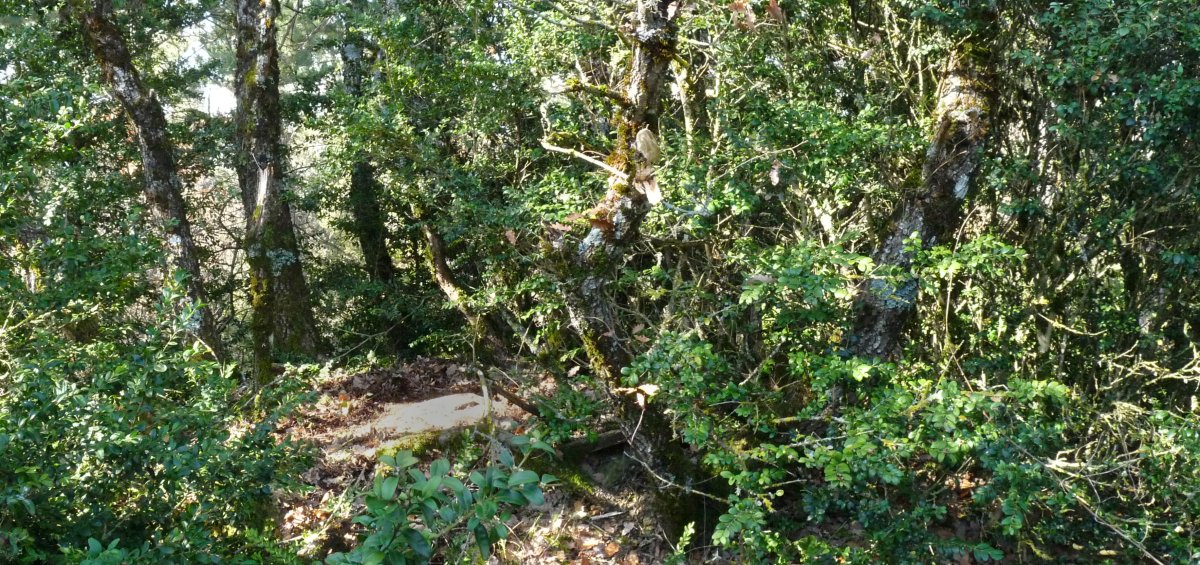 Gailur itxia. Tako geodesikoa lurpetik atera behar izan genuen