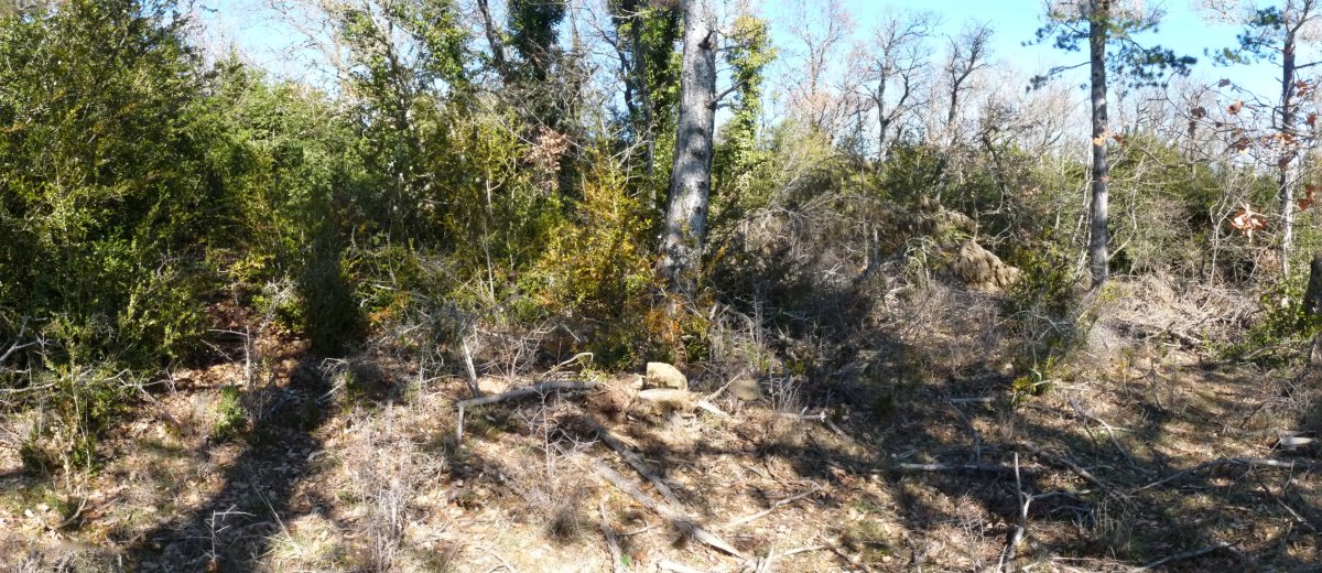 Tako geodesikoa Fayal gailurrean