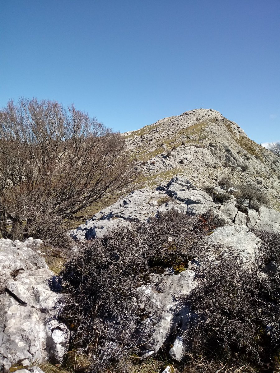 Erlogurutze bidean gandorretik