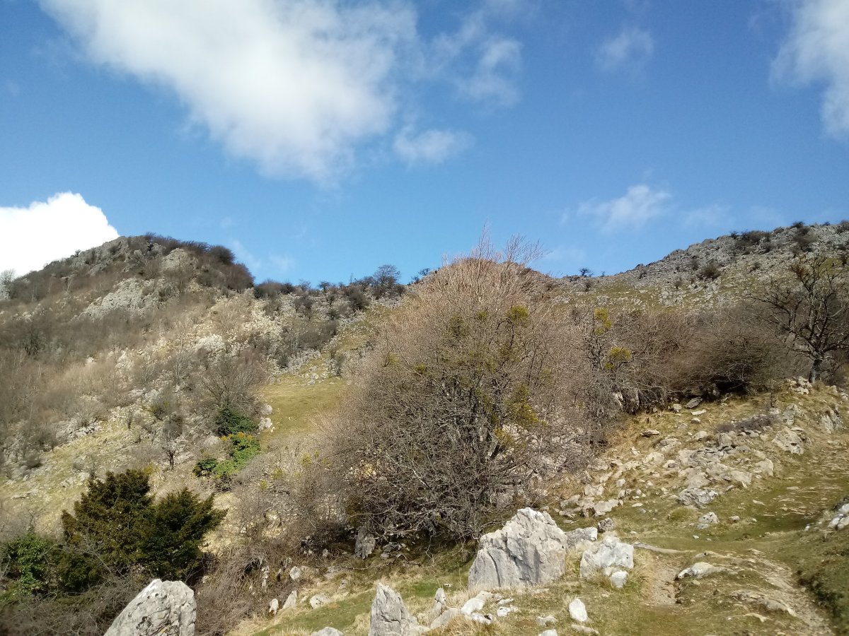 Kakueta, igoerako ikuspegia