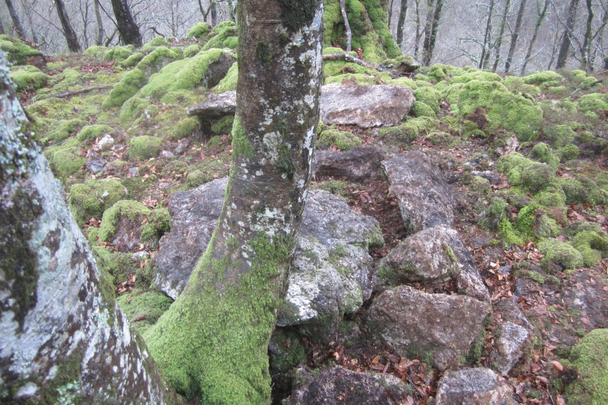 Dólmen Uzkuarrieta (27-03 2018)