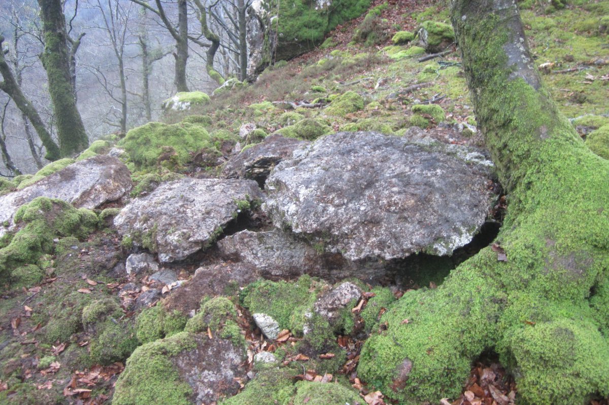 Dólmen Uzkuarrieta  (27-03 2018)