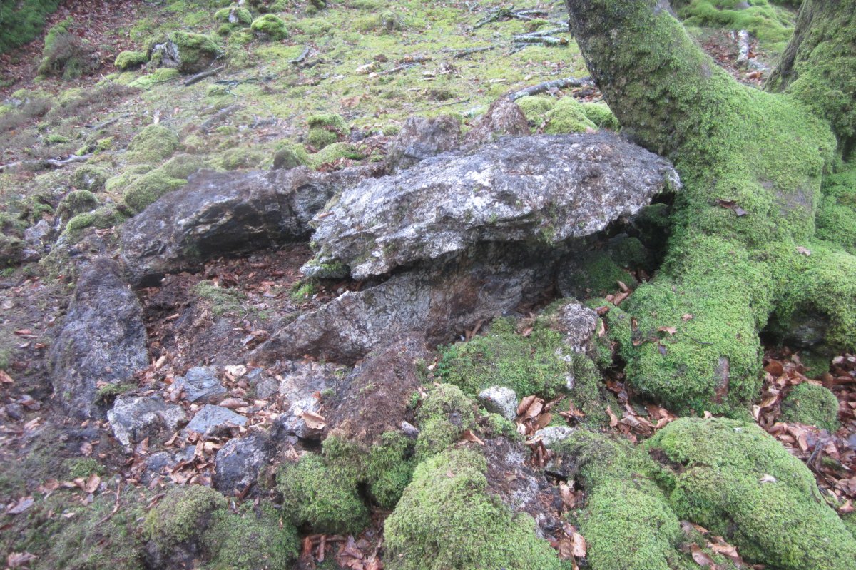 Dólmen Uzkuarrieta (27-03 2018)