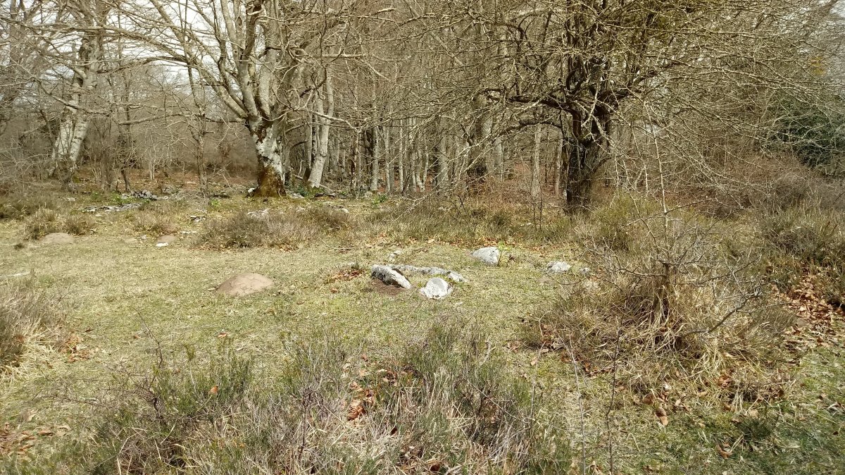 Lejazar Gaina trikuharria 2