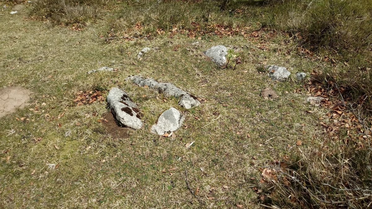 Lejazar Gaina trikuharria (2018)