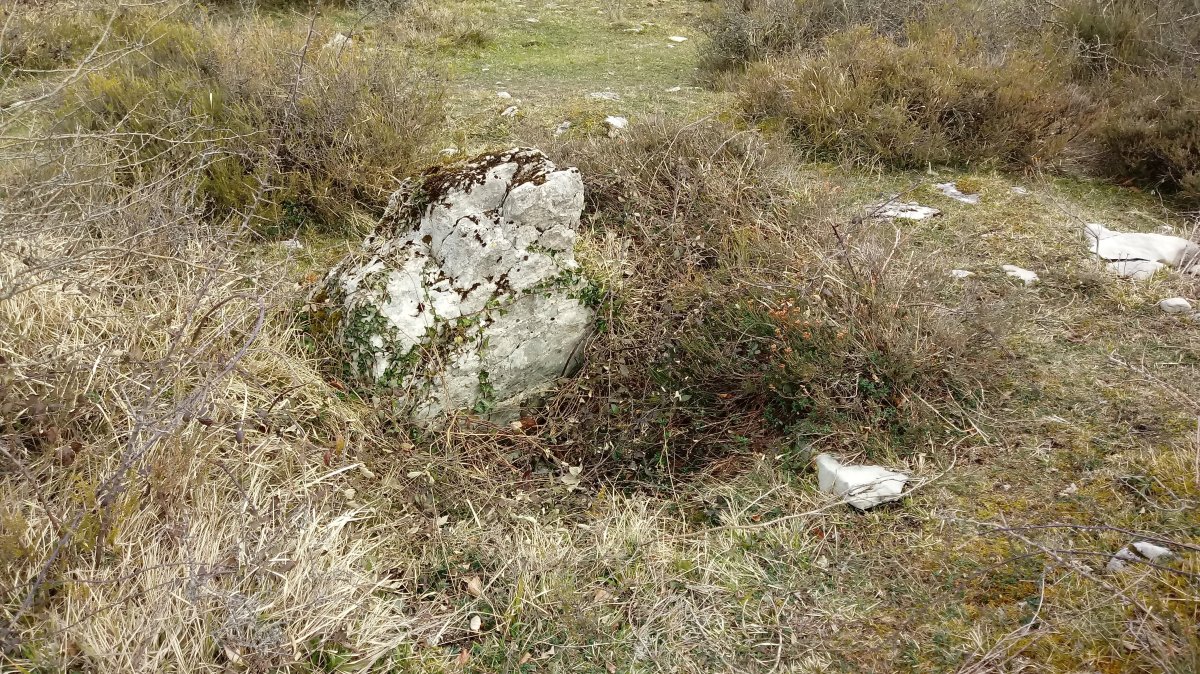 Lejazar Iparra trikuharria (2018)