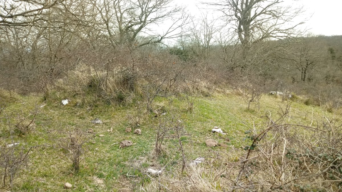 Larriluzea II tumuloa 2