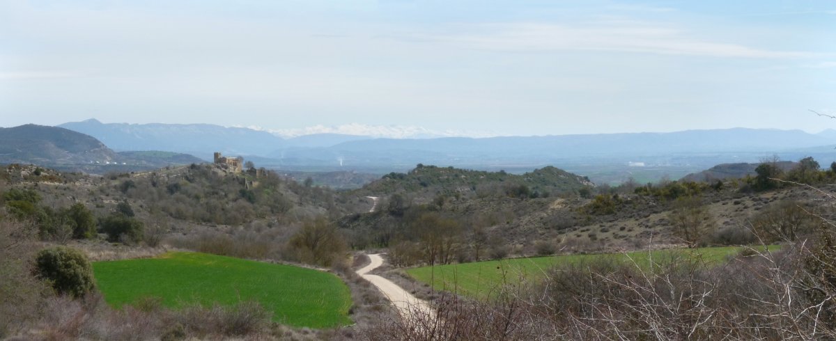 Abaitz, mendiko bidetik