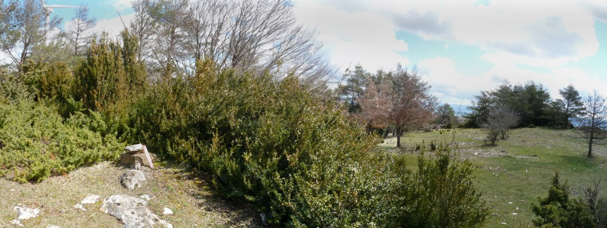 Izko gaineko gailurra